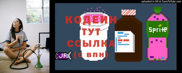 сатива Богородицк