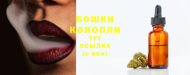 сатива Богородицк