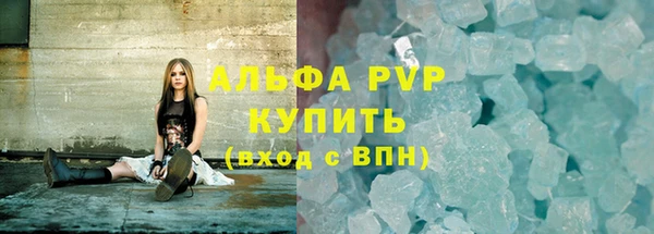 сатива Богородицк